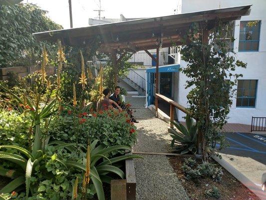 The Michelle Branch Meditation Garden at the ATC with lush, drought tolerant foliage.