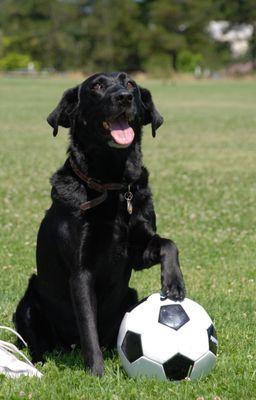 Just in time for the World Cup