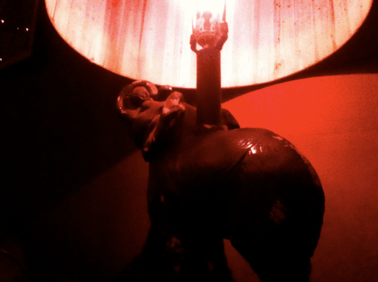 I just really liked this little elephant lamp that sat next to me all night.