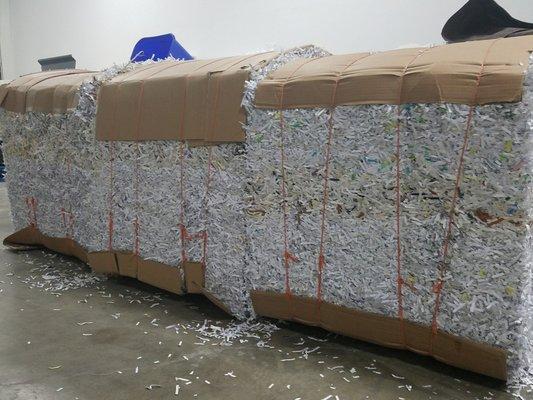 Bales of shredded paper ready to be recycled.