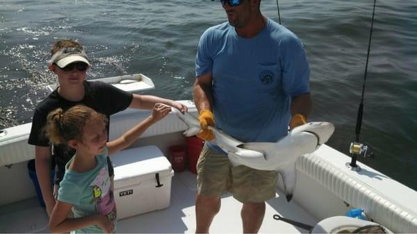 One of the smaller sharks my son caught.  Small enough to bring on board.