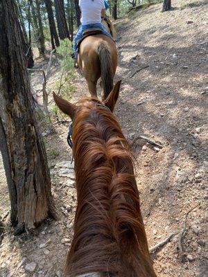 Kohl's Ranch Stables