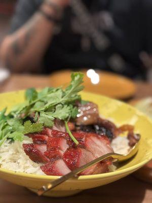 BBQ pork and duck over rice.