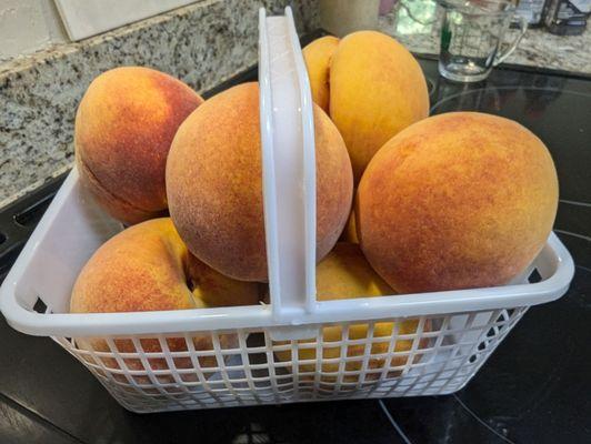 Peaches from Isom's today!