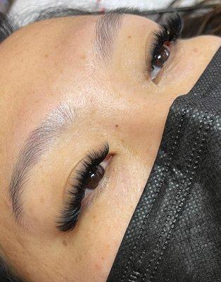 Volume Lashes by Lily