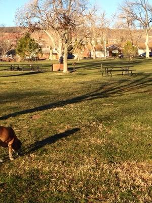 Picnic tables are a nice spot to have lunch @ Vernon Worthen Park - 1/8/15