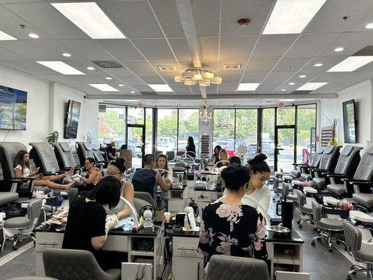 Fantastic Trimming, Grooming, Massages, and Beautiful Nail Art Designs Just for You!