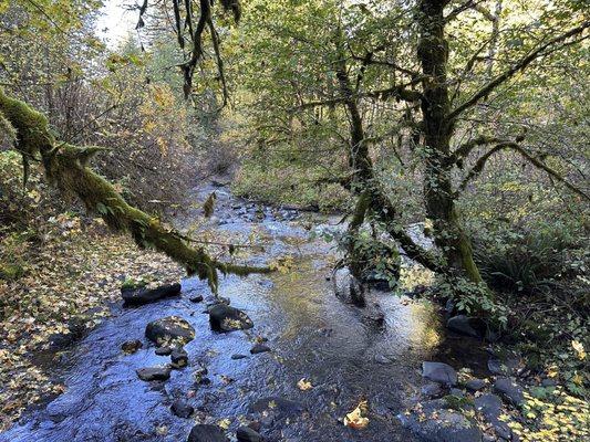 Mcdowell Creek Falls