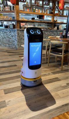 Food delivery robot