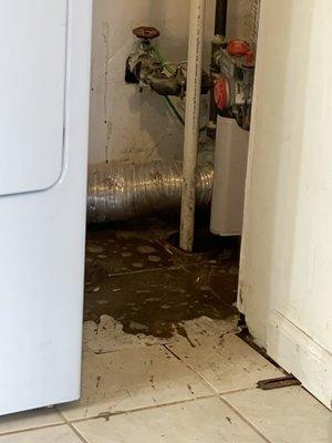 One photo after initial sewage explosion. This is just a small corner.