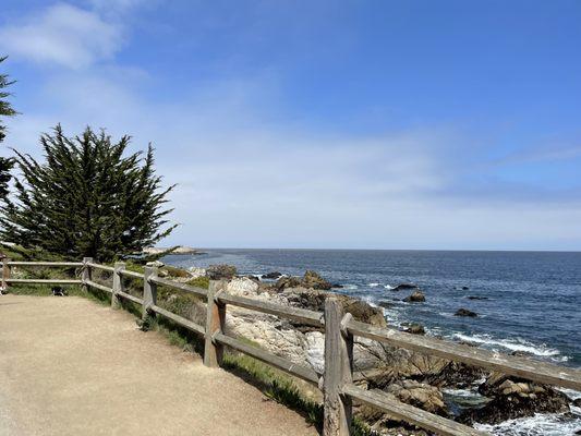 Beautiful Pacific Grove