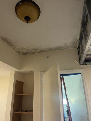 Mold in my unit