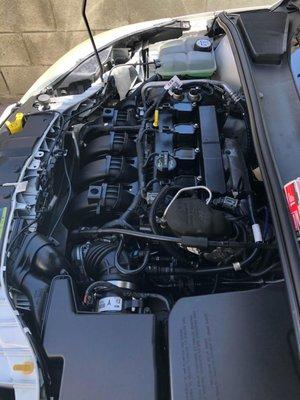 Engine Bay Clean and Detail