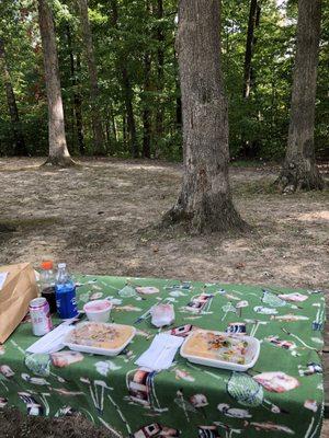 Chinese picnic at Murray Forest Park