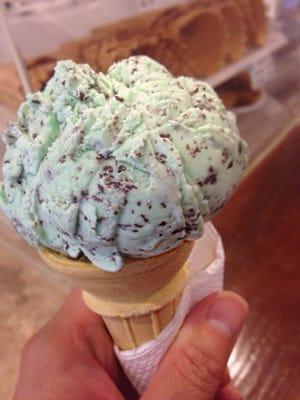 Mint chocolate chip on a small cake cone