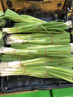 Fresh scallions