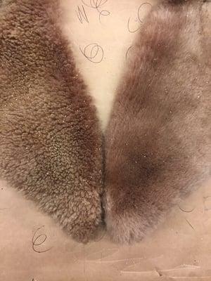 Example of cleaned and brushed lamb collar. Right side is done, left is not