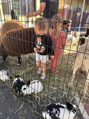 Petting Zoo.  Perfect for Preschool age and up.