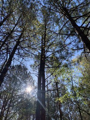 A great place to walk and clear your mind.