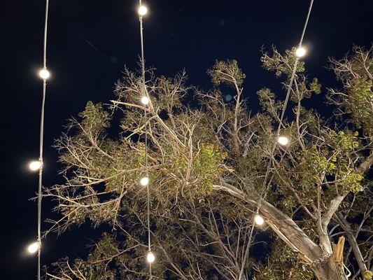 Cute lights above the patio area