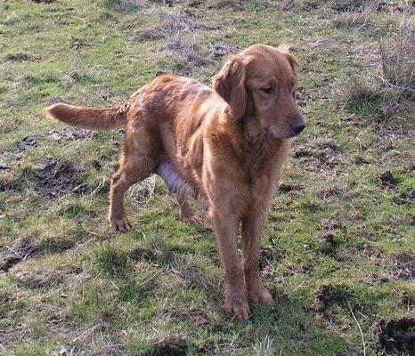 Stella she is a very good mother. She loves to run and play here on our 40 acre ranch.