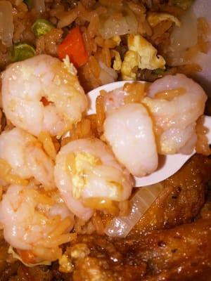 Clean Shrimp... A1