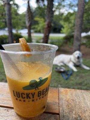 Charlie enjoying his time at Lucky Beach !