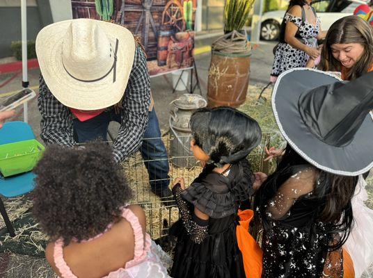 The farm came to the trunk or treat event! What a wonderful experience for our children.