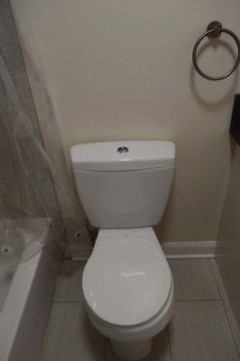 Here's a picture of the toilet that needed to be "repaired"