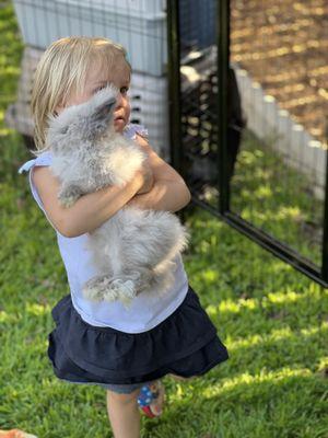 Bunny experience popular with kids and adults