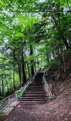 Stairs up from the falls