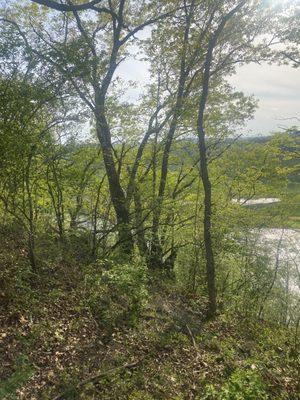 Can see part of the Pete Dye river course from the trail!