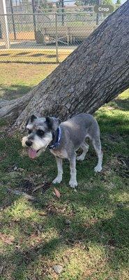 Mr. Fred at the park