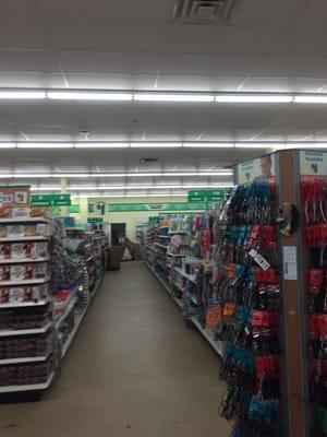 Randolph Dollar Tree -- 330 North Main Street / Route 28, Randolph               Interior