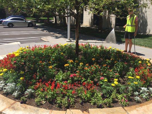 Annual flower bed we maintain throughout the summer season