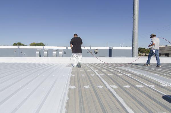 Doing a spray on coating to help with keeping your building green, and saving you money.