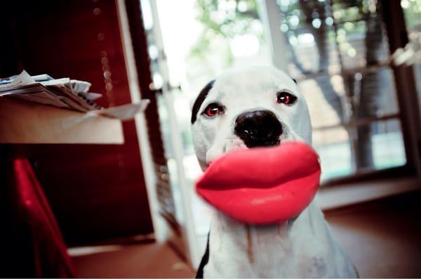 Dog by Claxton. Lips by Tweak!