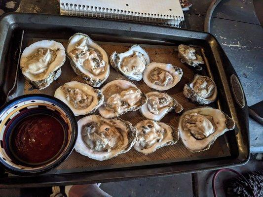 Oysters on the half shell.