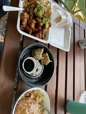 General Tso's, Egg Foo Young, Steamed Dumplings