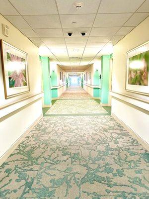 Typical hallway with artwork and photos hanging on both sides