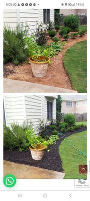 Black mulch before and after