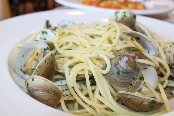 Spaghetti with clams white wine sauce