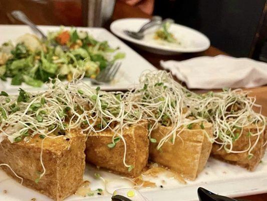 Crispy Tofu with Salad Filling