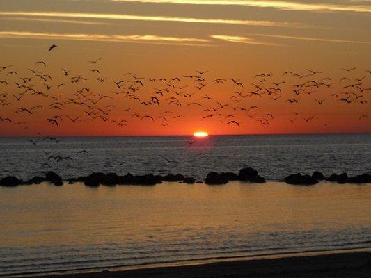 Sunset Crystal River beach