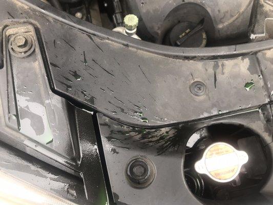 Coolant splashed under hood