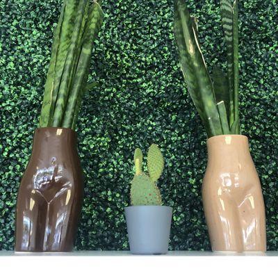 Plant decor