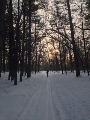 Cross country skiing in Robinson