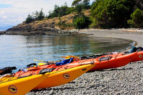 Outdoor Odysseys Kayak Tours