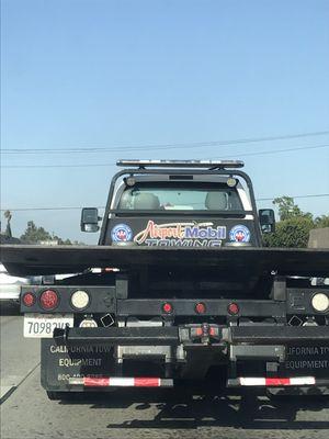 Dead stop, took this photo of driver talking on phone