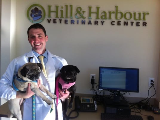 Fenway & Maddie, with Dr. Schoen